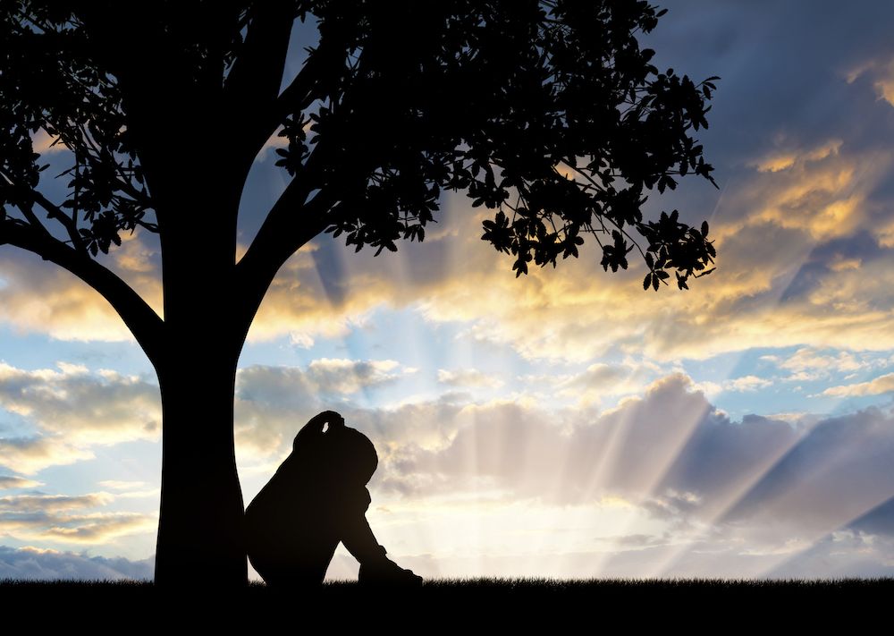 The Gossip Column: November 22, 2024